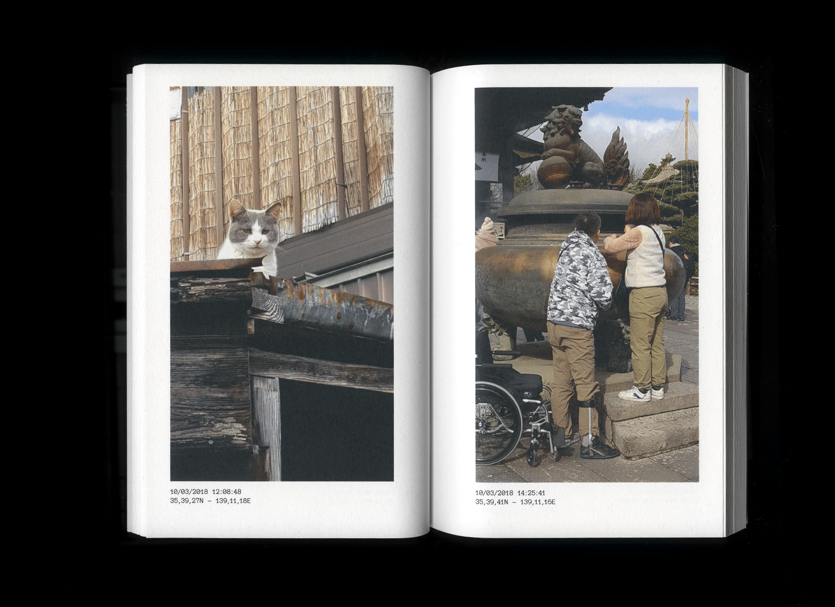 Raw images of Japan - Image 2 sur 7